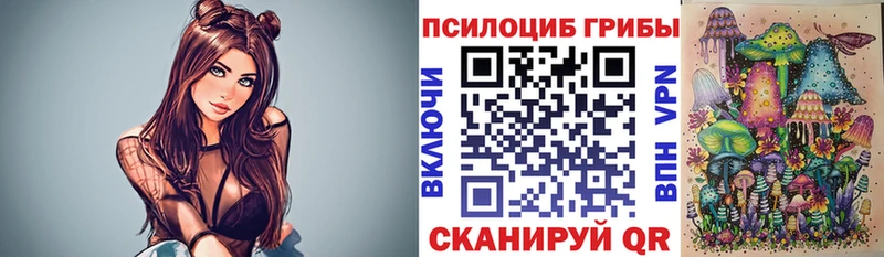 ОМГ ОМГ вход  Комсомольск  Галлюциногенные грибы Cubensis 